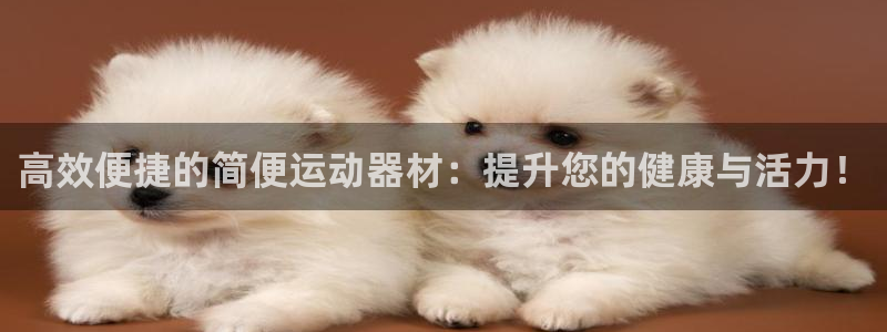 征途国际官网:高效便捷的简便运动器材:提升您的健康与活力!