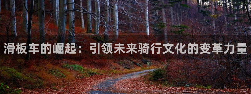 征途国际招商电话地址:滑板车的崛起:引领未来骑行文化的变革力